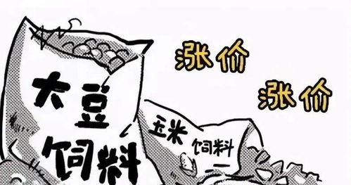 飼料漲,豬價(jià)跌,養(yǎng)豬巨頭卻在瘋狂建場(chǎng),難道豬市有變