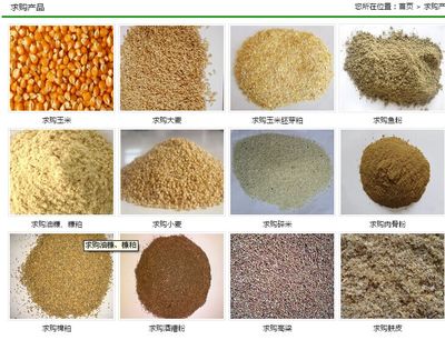 求購(gòu)玉米小麥大豆高粱麩皮次粉等飼料原料
