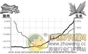 飼料原料價(jià)格匯總 豬肉價(jià)三伏天貴過正月里 經(jīng)銷商請養(yǎng)殖戶食 飯又送禮