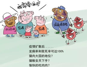 別慌 寧鄉(xiāng)暫無(wú) 非洲豬瘟 疫情
