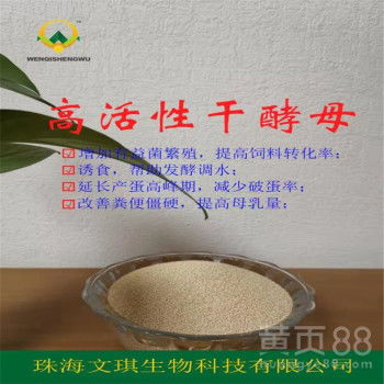 【酵素級(jí)飼用發(fā)酵劑發(fā)酵快提高飼料利用率工業(yè)飼料添加劑干酵母廠家直銷】-