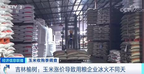 一噸漲200元?玉米收購(gòu)價(jià)普漲,農(nóng)戶(hù)卻不愿意賣(mài)?!有人準(zhǔn)備囤到明年,為啥?