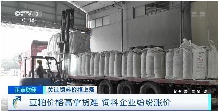豆粕價(jià)格高,飼料企業(yè)紛紛漲價(jià)!賣一頭豬至少虧兩百元→