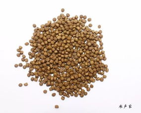 黃曲霉素毒性超砒霜100倍 霉菌毒素對水產(chǎn)動物的危害有多大你知道嗎