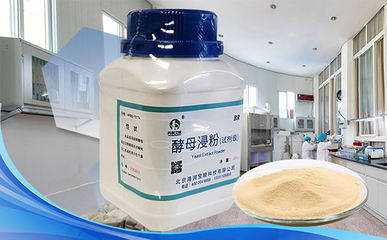 酵母粉、酵母提取物、酵母浸粉和酵母浸膏的區(qū)別您知道嗎?