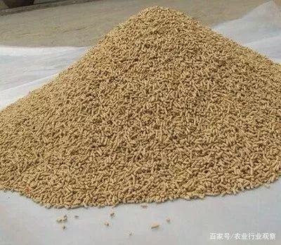 農(nóng)業(yè)文旅將成為未來農(nóng)業(yè)發(fā)展趨勢;馬云:未來農(nóng)業(yè)是數(shù)據(jù)農(nóng)業(yè)