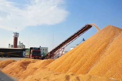 2021年山東飼料總產(chǎn)量4476.3萬(wàn)噸,7家飼企產(chǎn)量超100萬(wàn)噸.