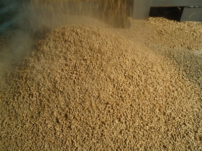 原料粉碎粒度和飼料形態(tài)對(duì)動(dòng)物影響的研究
