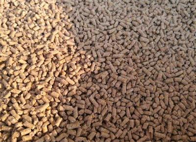 我國(guó)飼料業(yè)傳統(tǒng)套保錦上添花