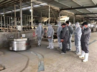 推動(dòng)奶業(yè)振興,助力健康中國(guó)!衛(wèi)崗乳業(yè)順利通過優(yōu)質(zhì)乳工程復(fù)審!