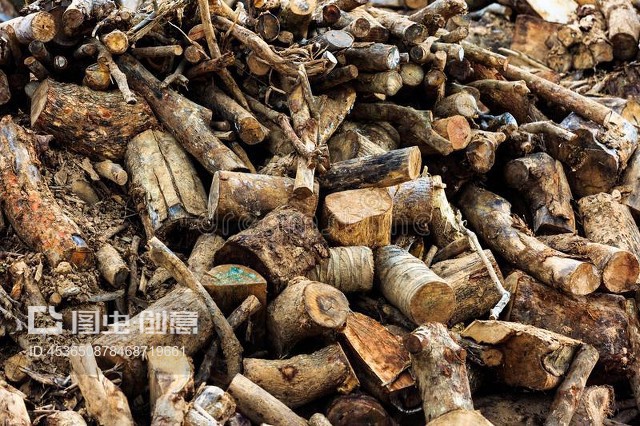 用于工廠飼料原料的切割原木用途Cutting log use for raw material to feed in factory