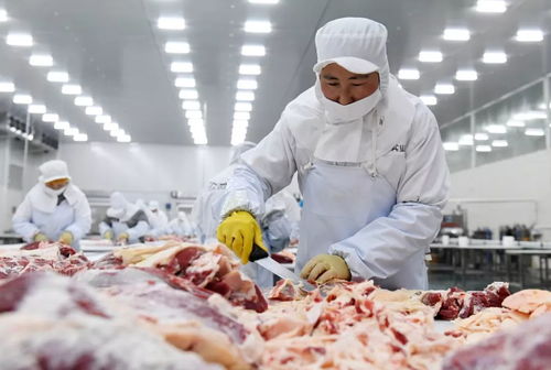 農(nóng)業(yè)農(nóng)村部 不得以防疫為由攔截這三種車輛