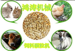 木里藏族兔子飼料顆粒機,原糧顆粒機