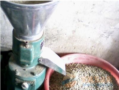 小型秸桿顆粒機哪家的質(zhì)量好 木屑顆粒機價錢