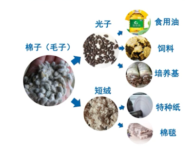 棉花的各種用途,保證你不知道!居然還可作火箭的燃料?