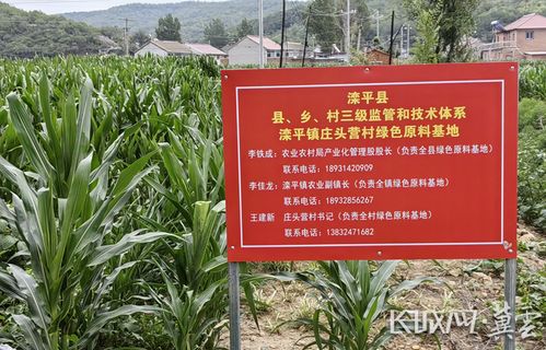 河北省獲批全國(guó)綠色食品原料標(biāo)準(zhǔn)化生產(chǎn)基地達(dá)到10個(gè)鳳凰網(wǎng)河北 鳳凰網(wǎng)